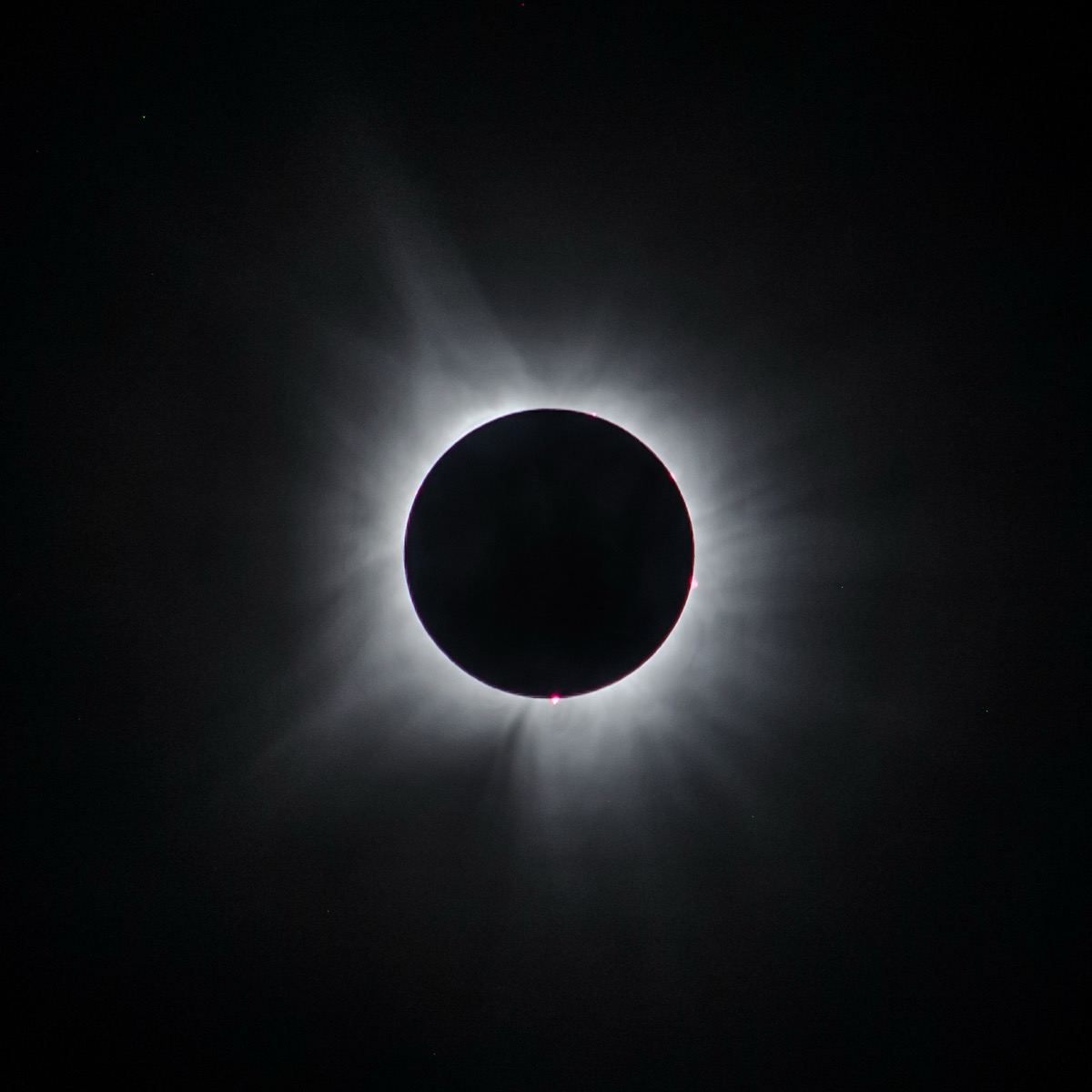 Totality on April 8, 2024, seen from Russellville, Arkansas