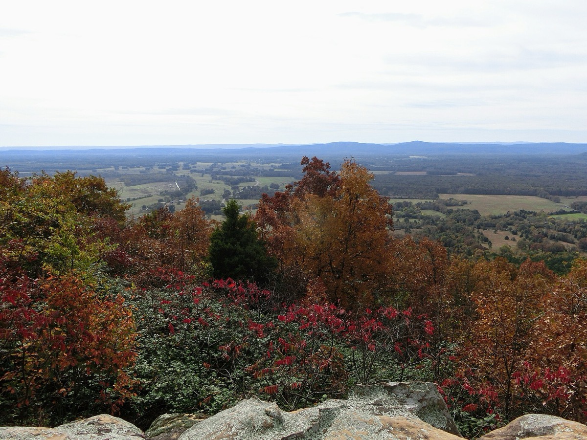 Autumn trees and the valley below Petit Jean Mountain