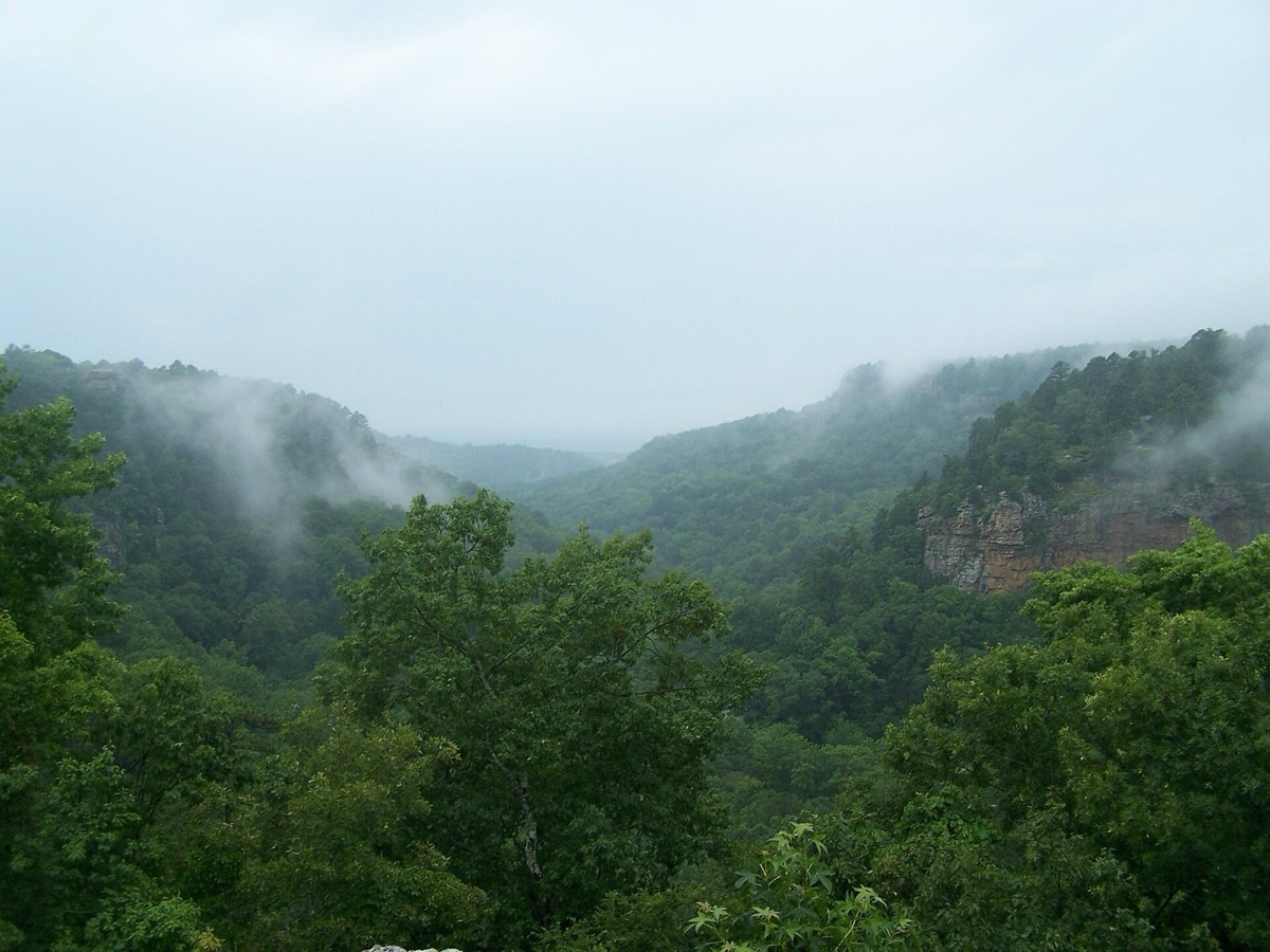 Mist over the wooded hills below Petit Jean Mountain